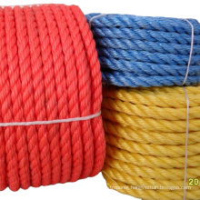 Low Temperature Resistant PE Bungee Cord Rope for Shipping